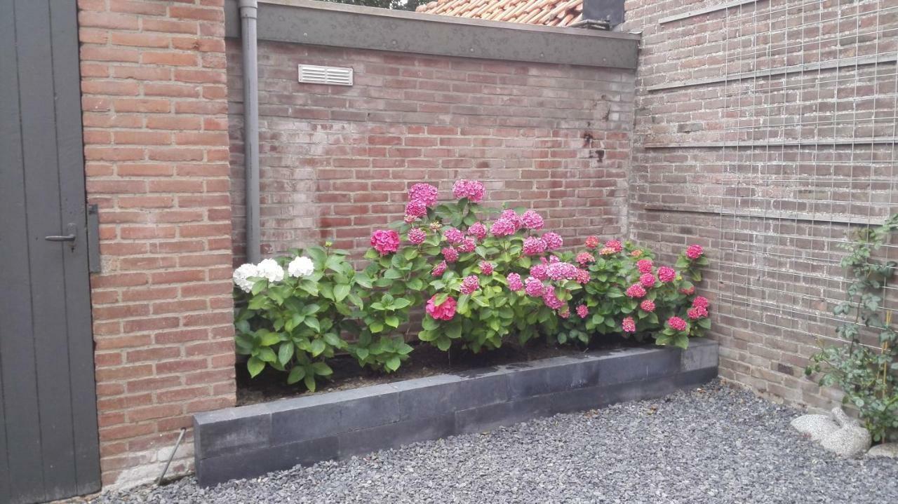 フリシンゲン De Notenbalk Aan Zee Bed & Breakfast エクステリア 写真